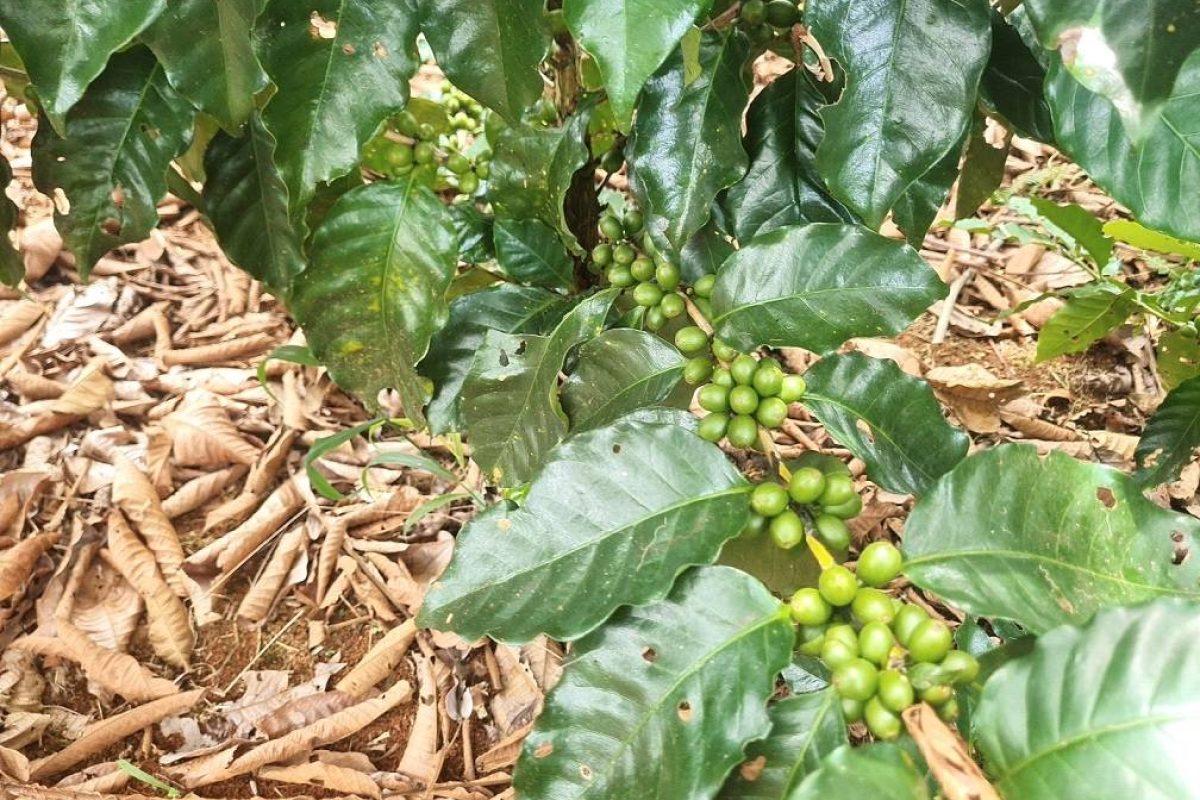 DJI_20230831_103506_120