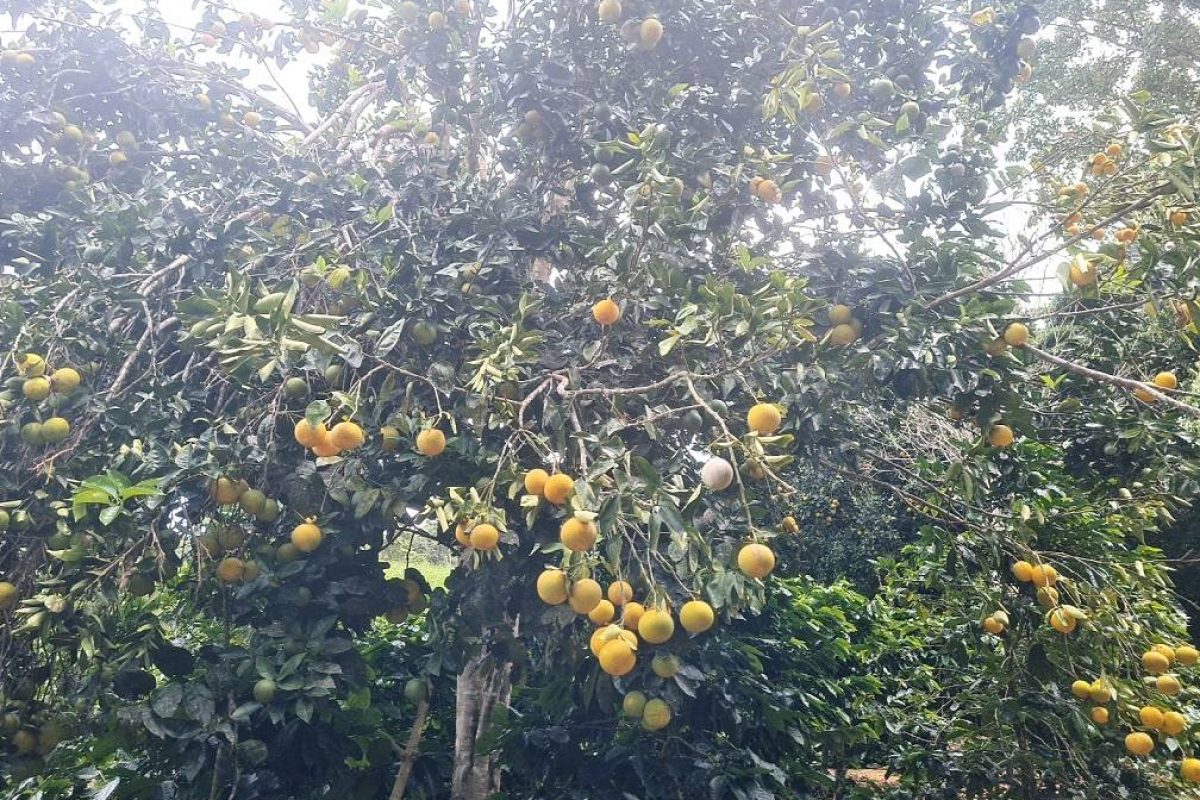 DJI_20230831_103850_125