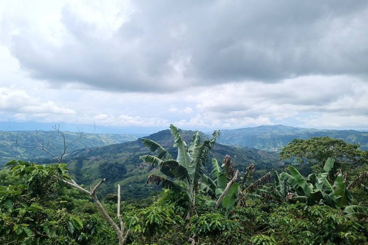 DJI_20230831_104314_127