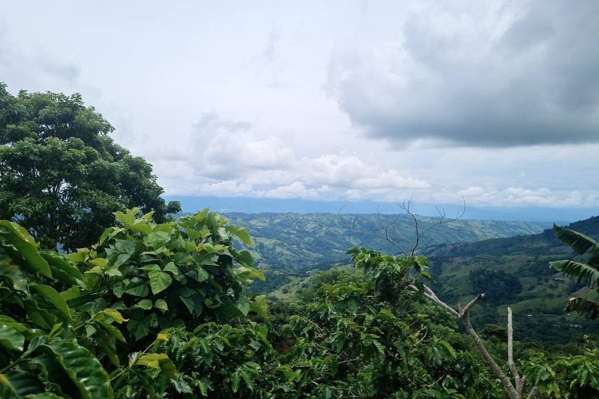 DJI_20230831_104320_129