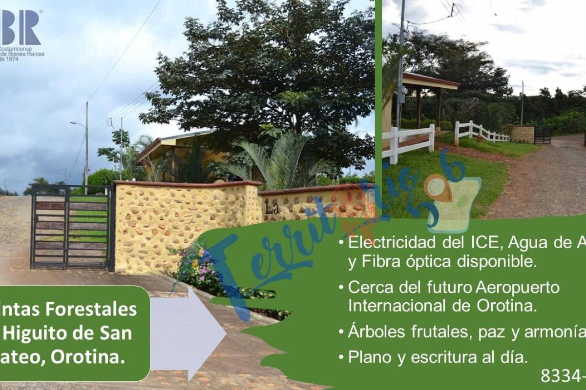 Diapositiva1-63663fea