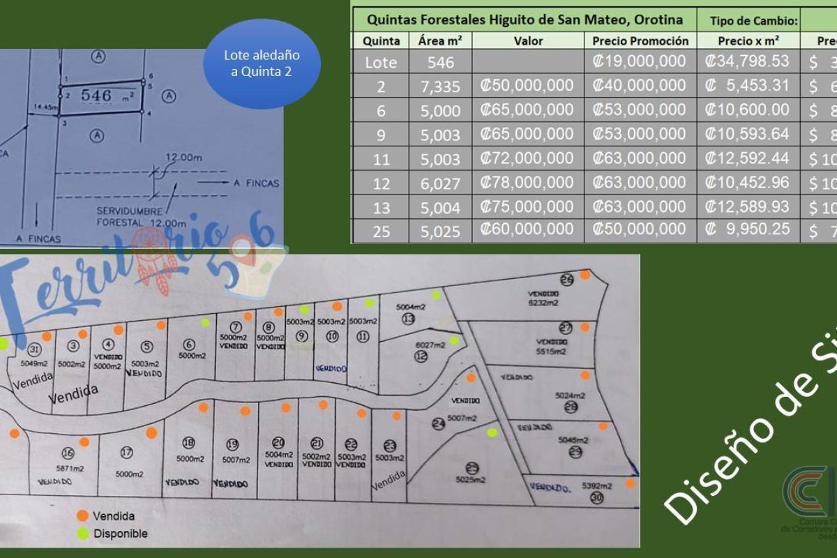 Diapositiva2-3ee6fb81