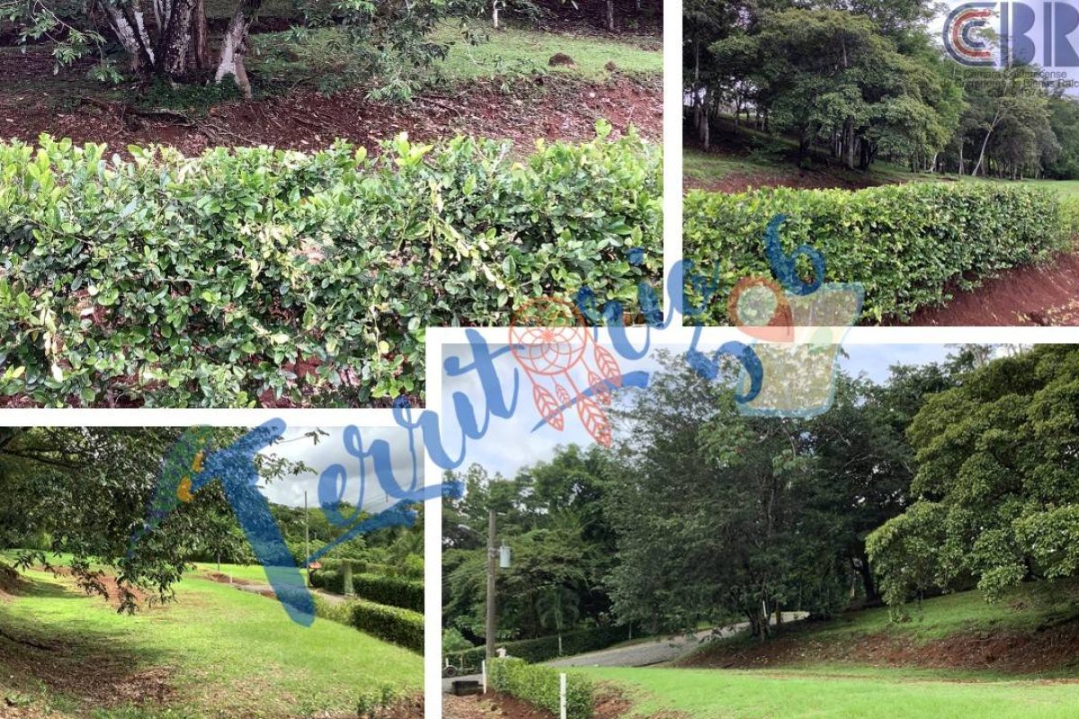 Diapositiva3-f500981d