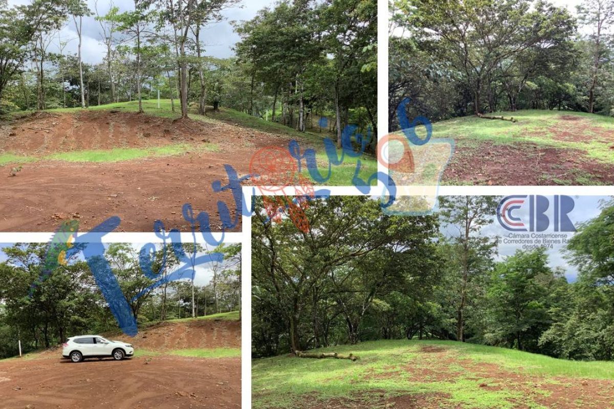 Diapositiva4-e1536afe