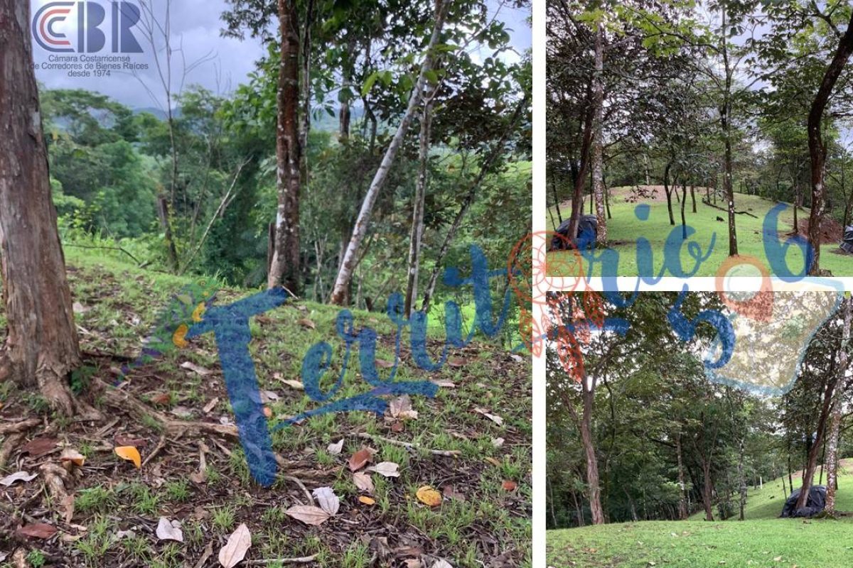 Diapositiva5-676c4109