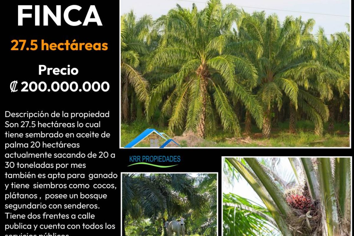 Elegant-Home-For-Sale2