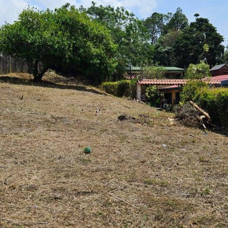 Finca en Tures Heredia 2