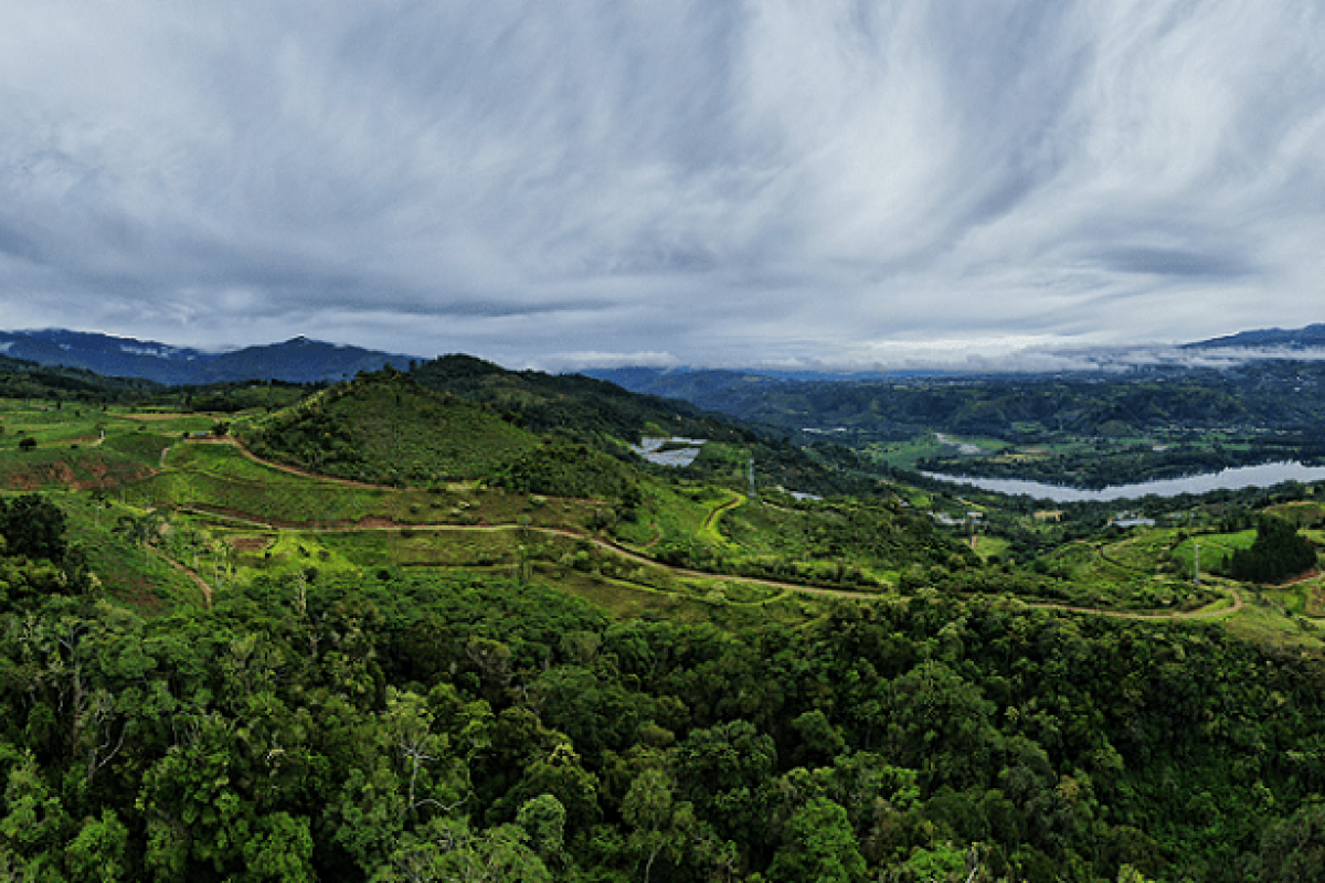 Foto-aerea-del-proyecto