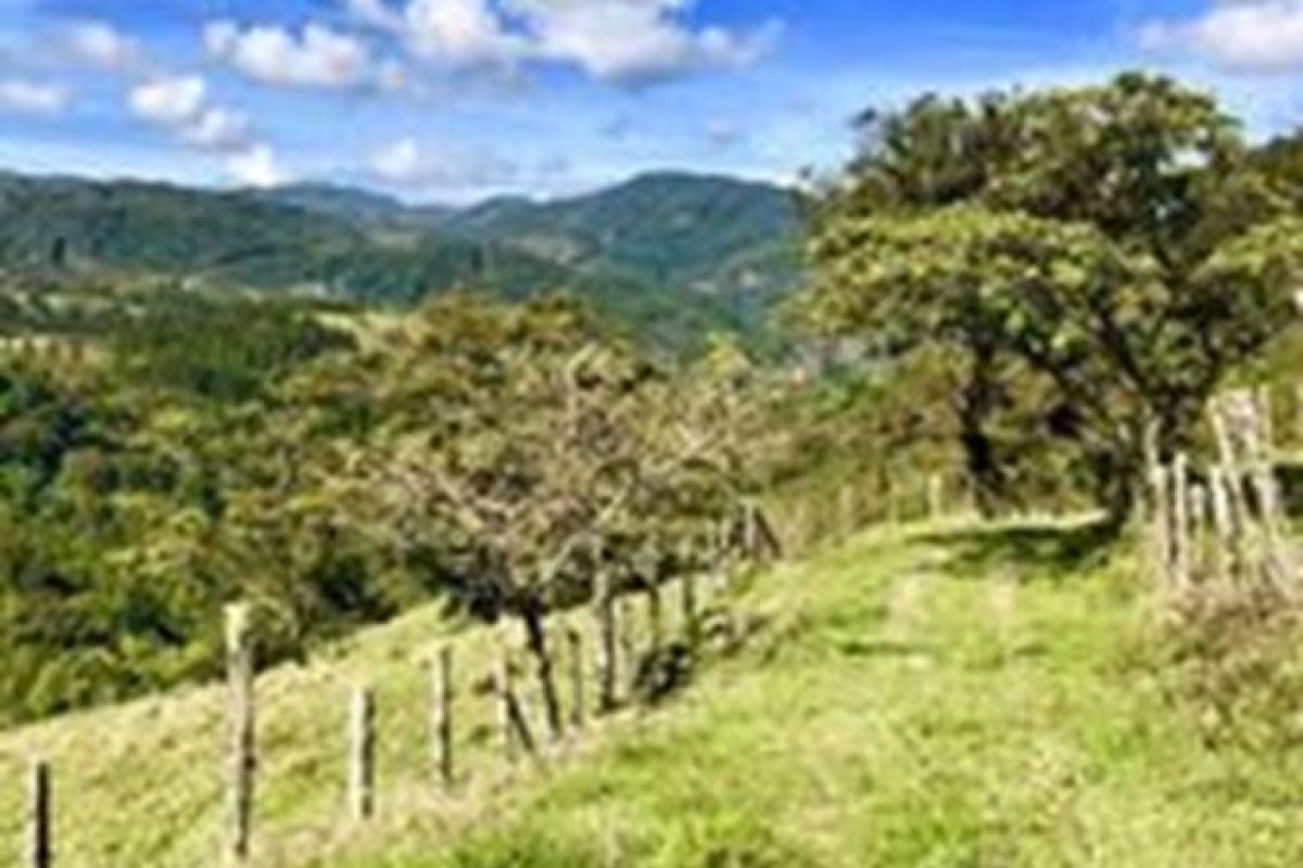 Foto finca El Guarco 2