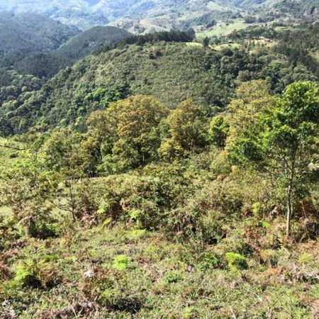 Foto finca El Guarco