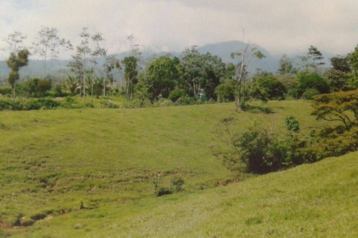 IMG-20170406-WA0003-5f023109