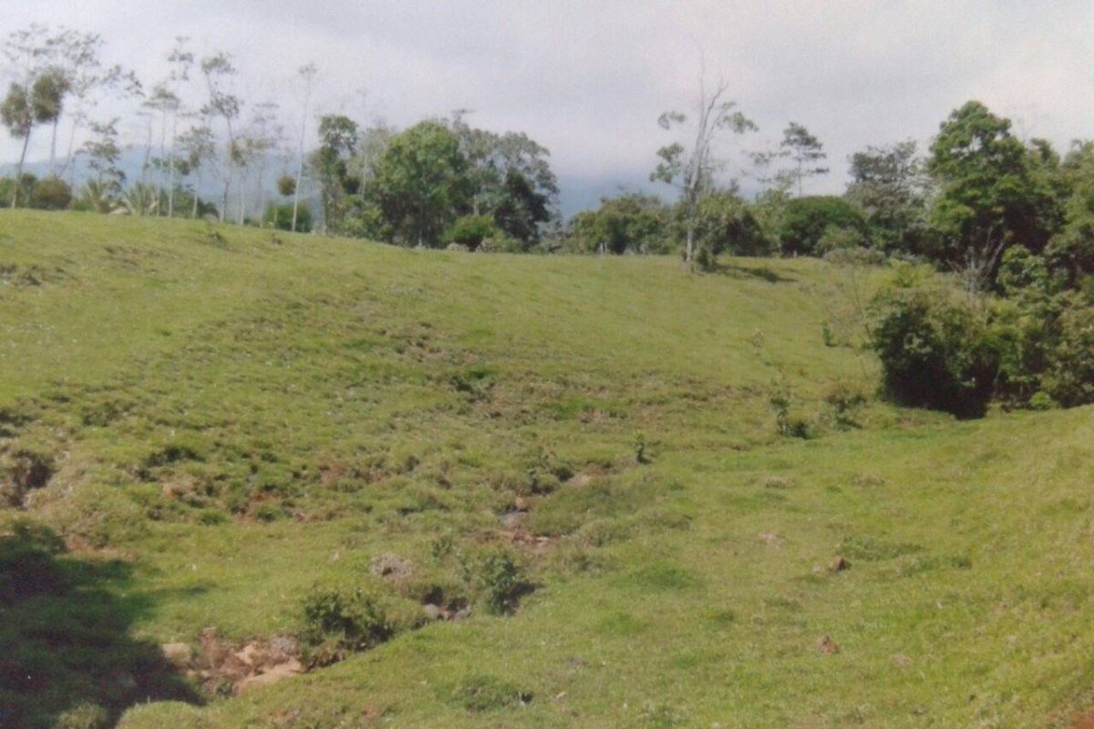 IMG-20170406-WA0004-fee5b636