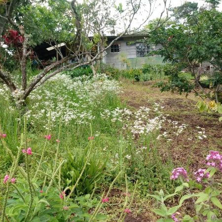 IMG-20191009-WA0146