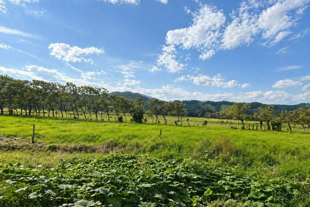 IMG-20260426-WA0008-1