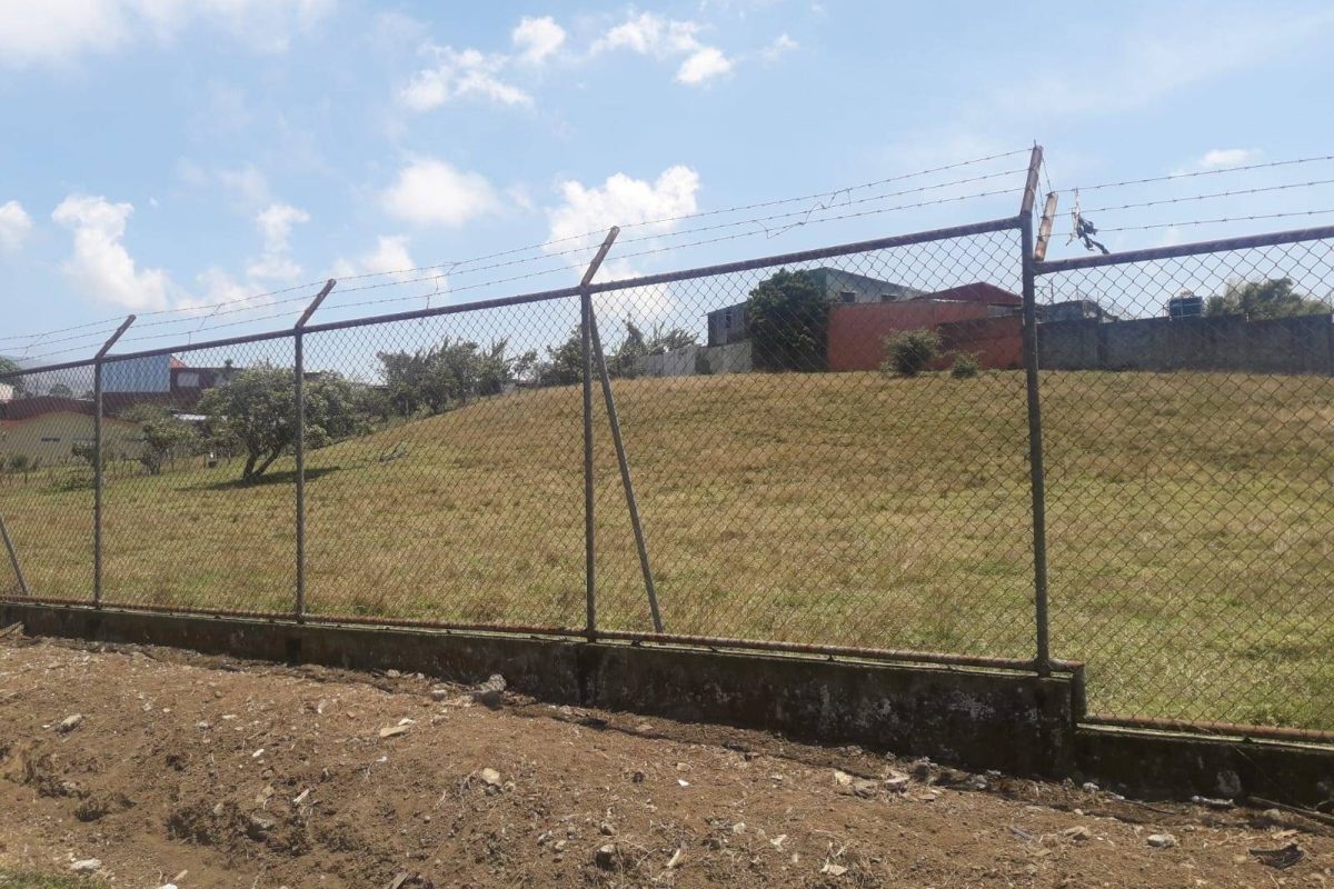 Imagen de WhatsApp 2024-02-02 a las 11.57.56_b185681d