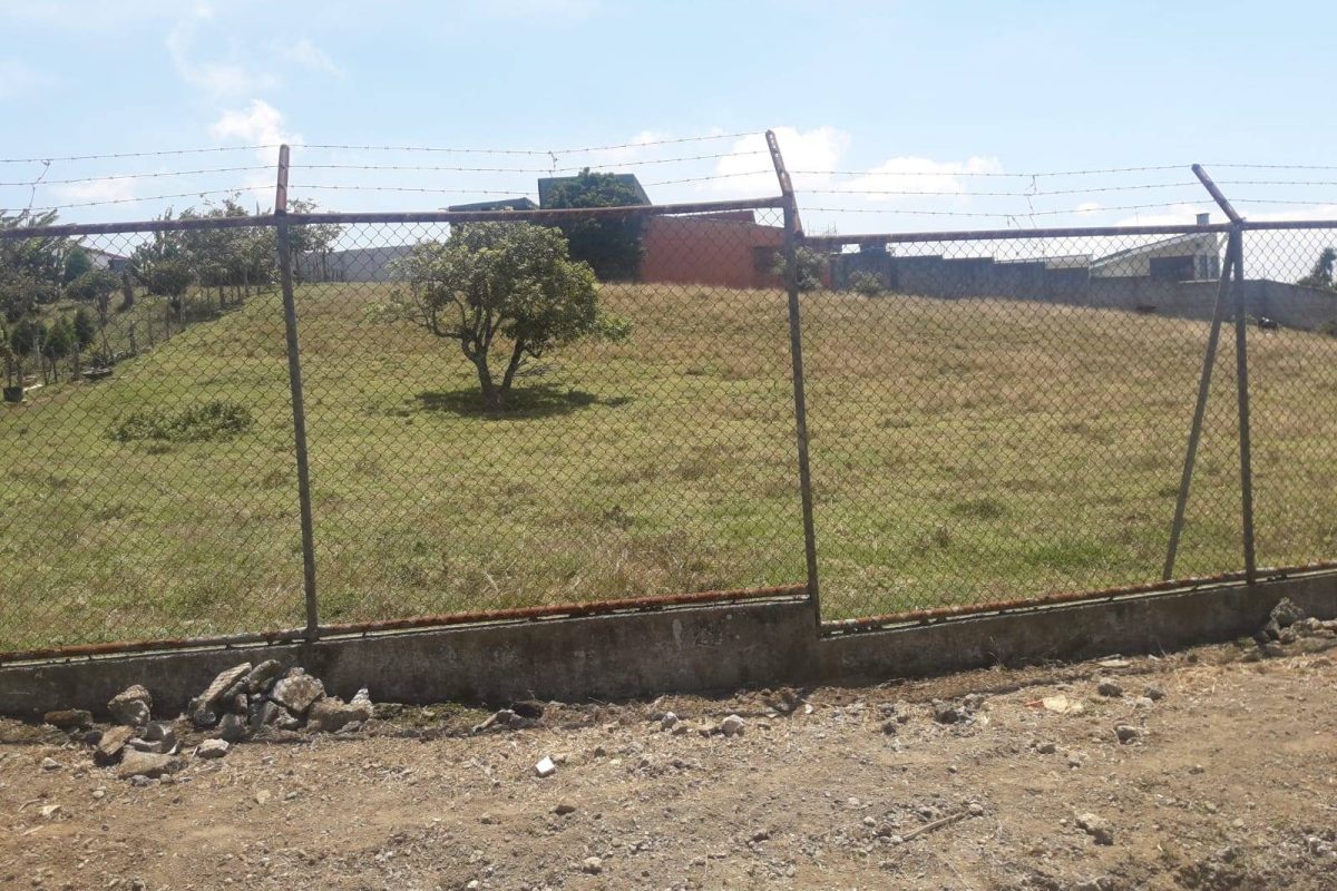 Imagen de WhatsApp 2024-02-02 a las 11.57.57_07a0655d