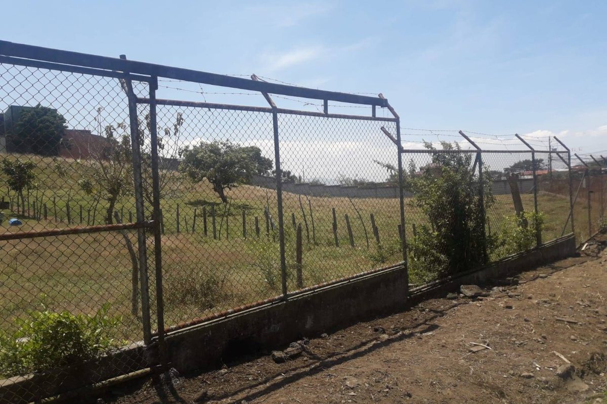 Imagen de WhatsApp 2024-02-02 a las 11.57.58_d45c9728