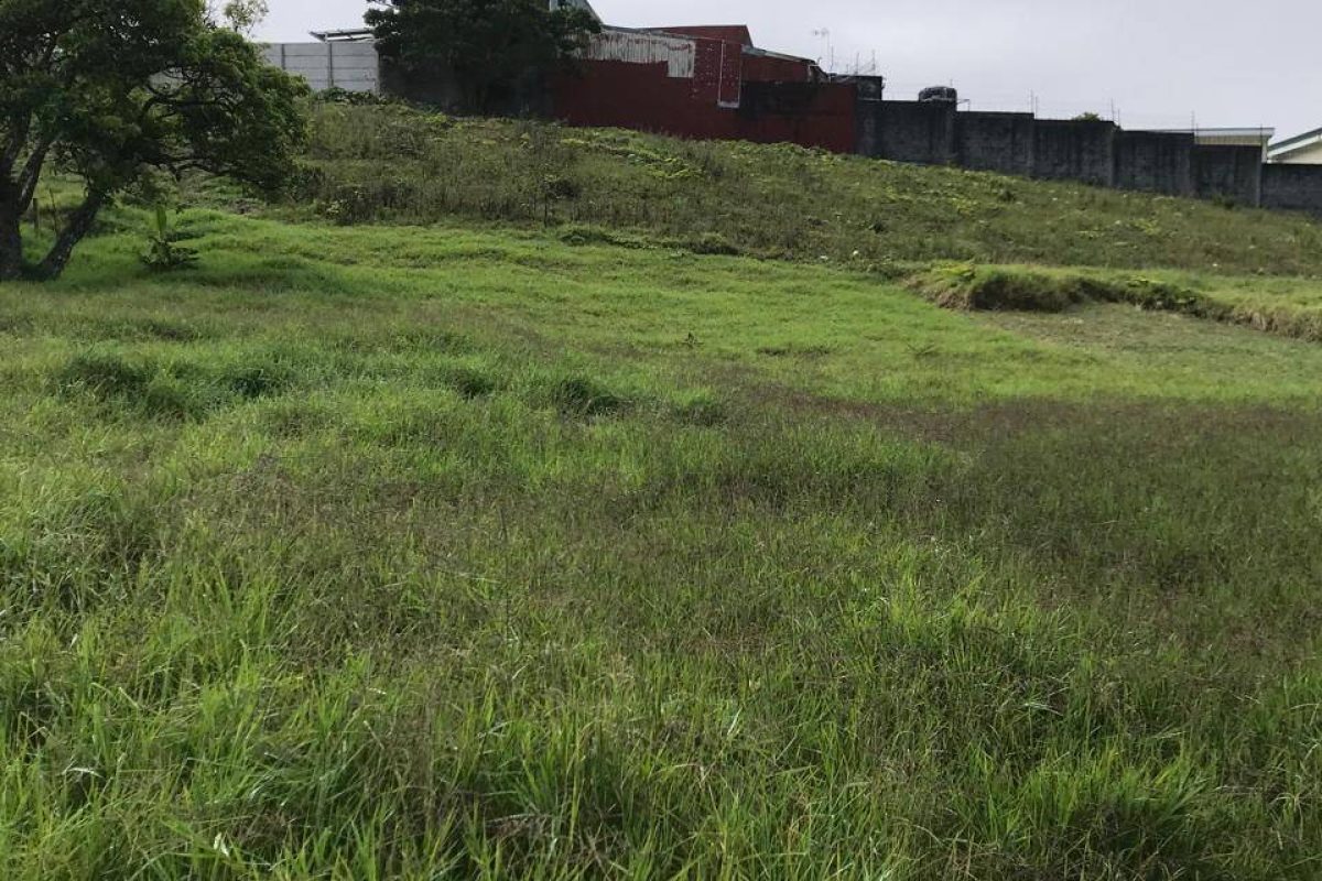 Imagen de WhatsApp 2024-02-02 a las 11.58.58_317b2daa