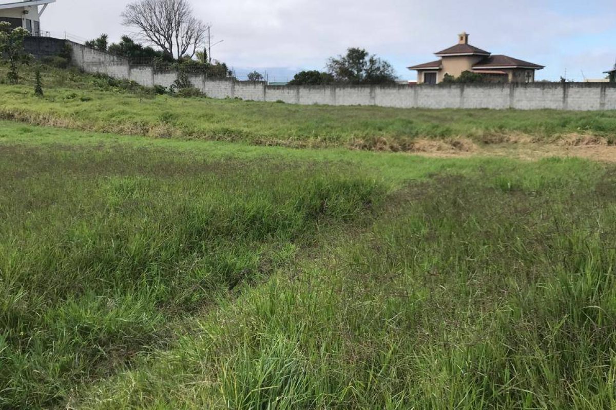 Imagen de WhatsApp 2024-02-02 a las 11.58.58_fb6c4746