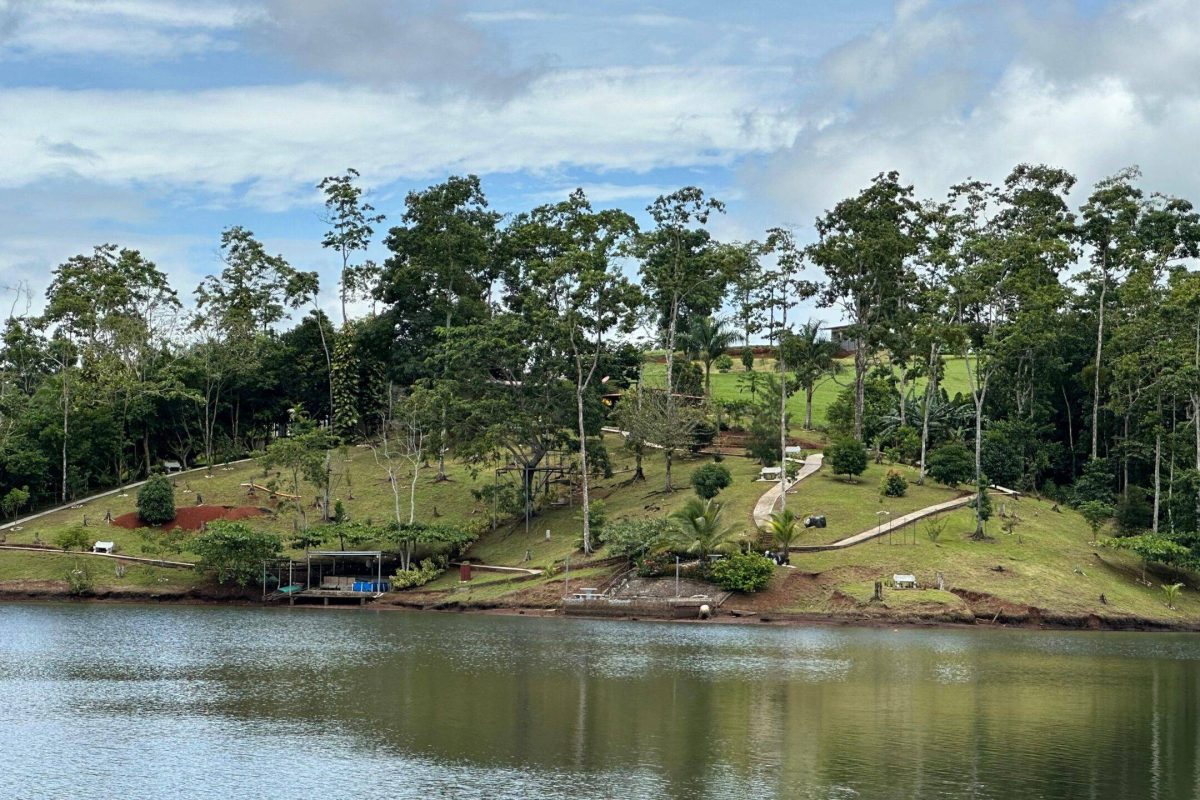 Imagen de WhatsApp 2025-01-28 a las 17.51.06_668d4db4