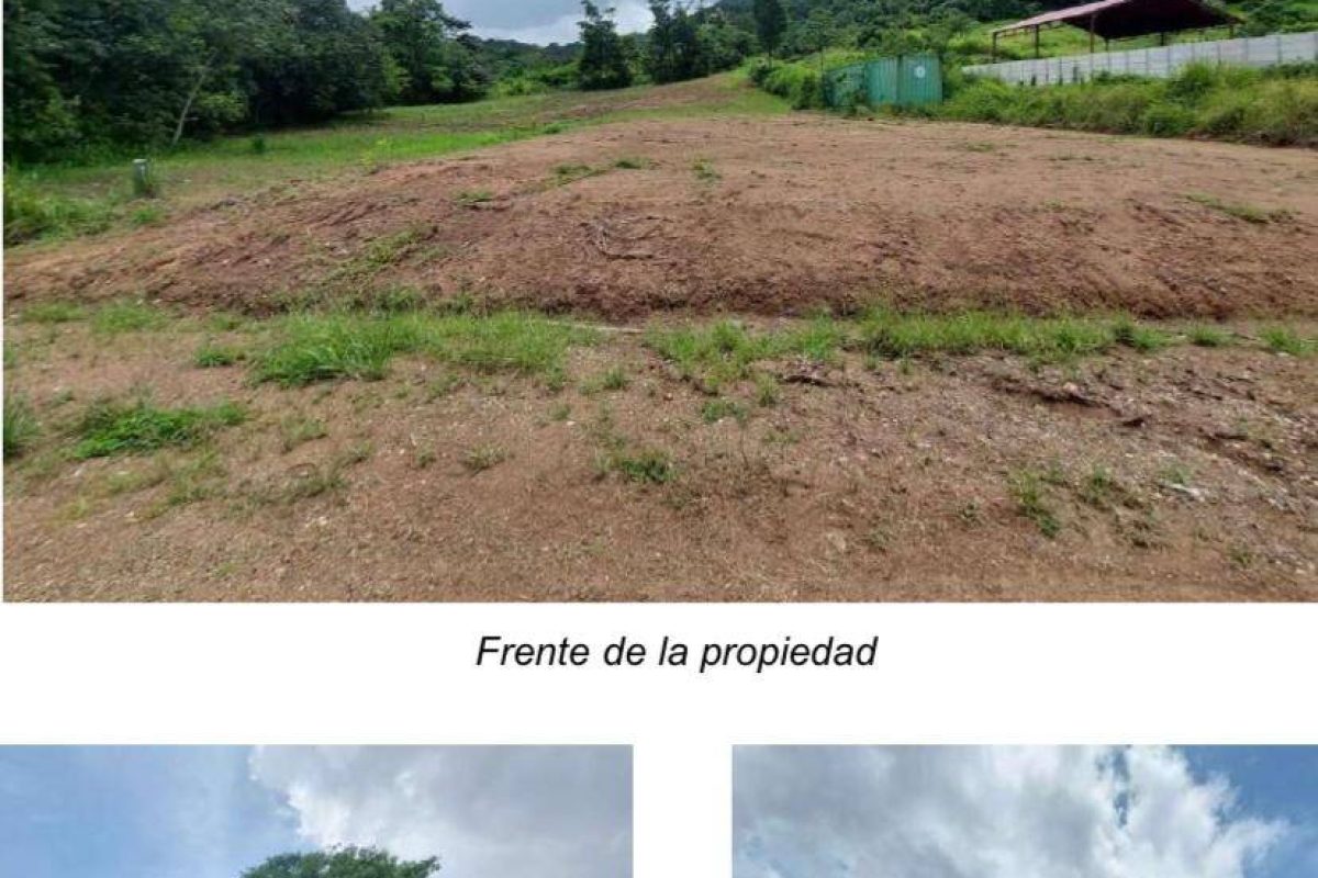 Imagen de WhatsApp 2025-02-13 a las 14.08.21_282c3dcb