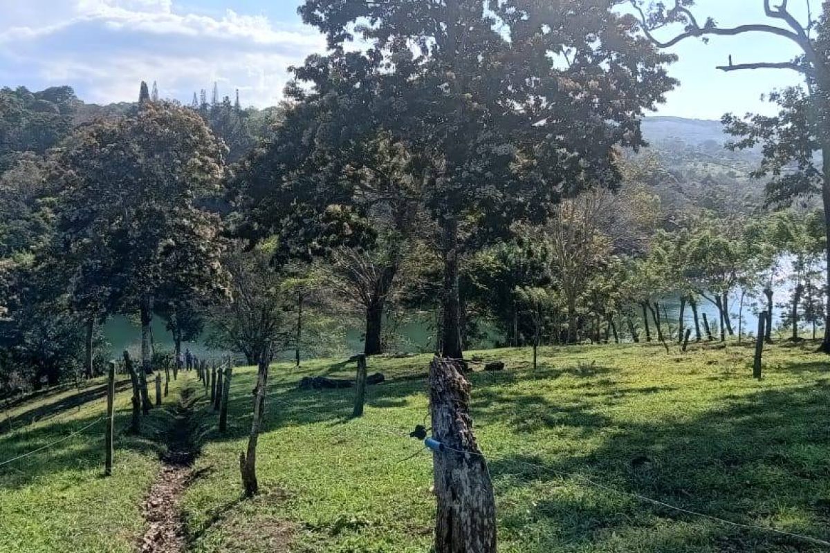 Imagen de WhatsApp 2025-03-05 a las 11.36.49_1ea434db