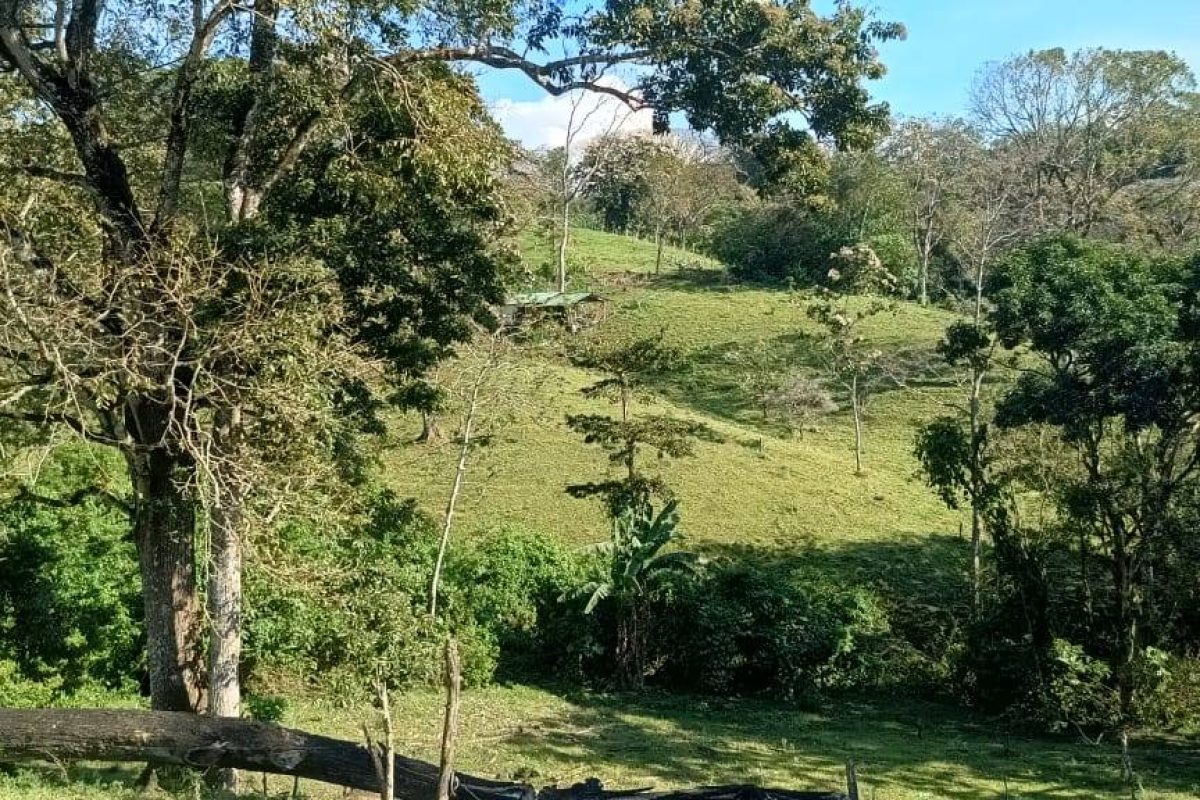 Imagen de WhatsApp 2025-03-05 a las 11.36.49_e68563d4