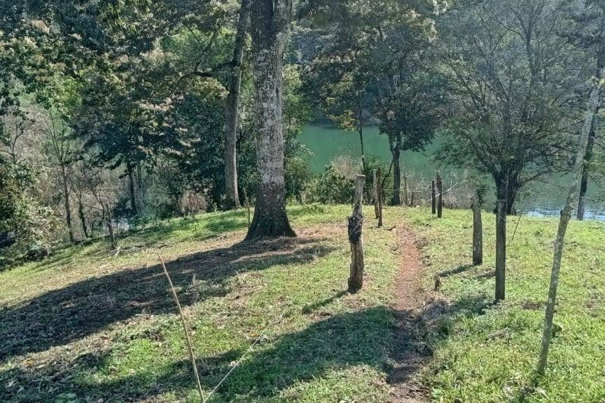 Imagen de WhatsApp 2025-03-05 a las 11.36.50_729c7467