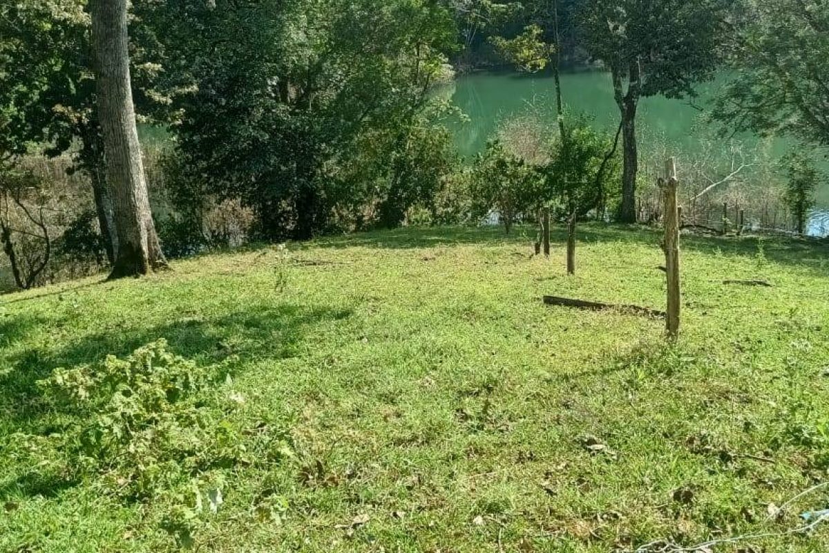 Imagen de WhatsApp 2025-03-05 a las 11.36.50_7a129858