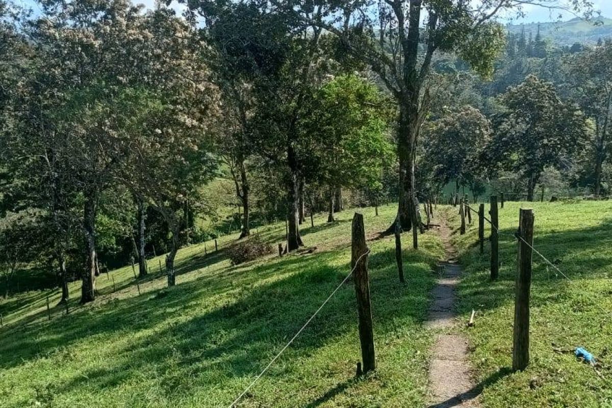 Imagen de WhatsApp 2025-03-05 a las 11.36.51_52f63ba5