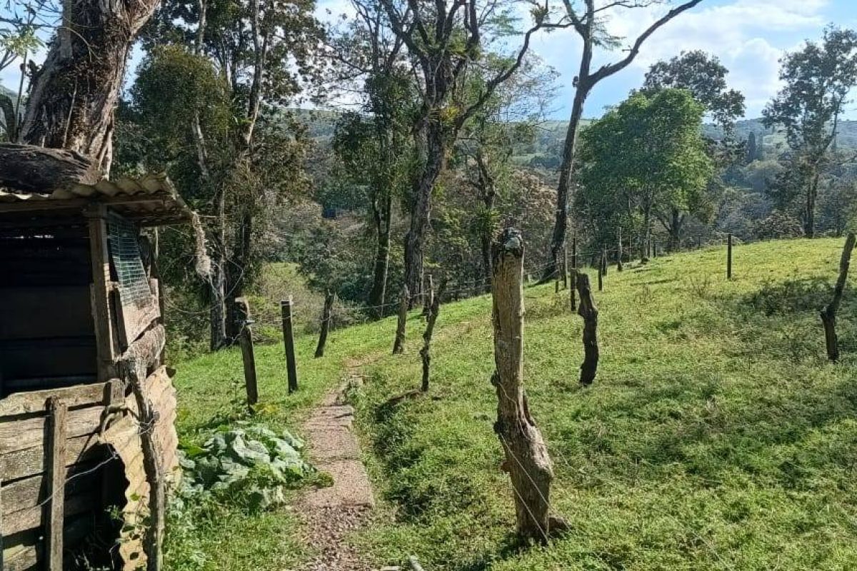 Imagen de WhatsApp 2025-03-05 a las 11.36.51_6bf6975c