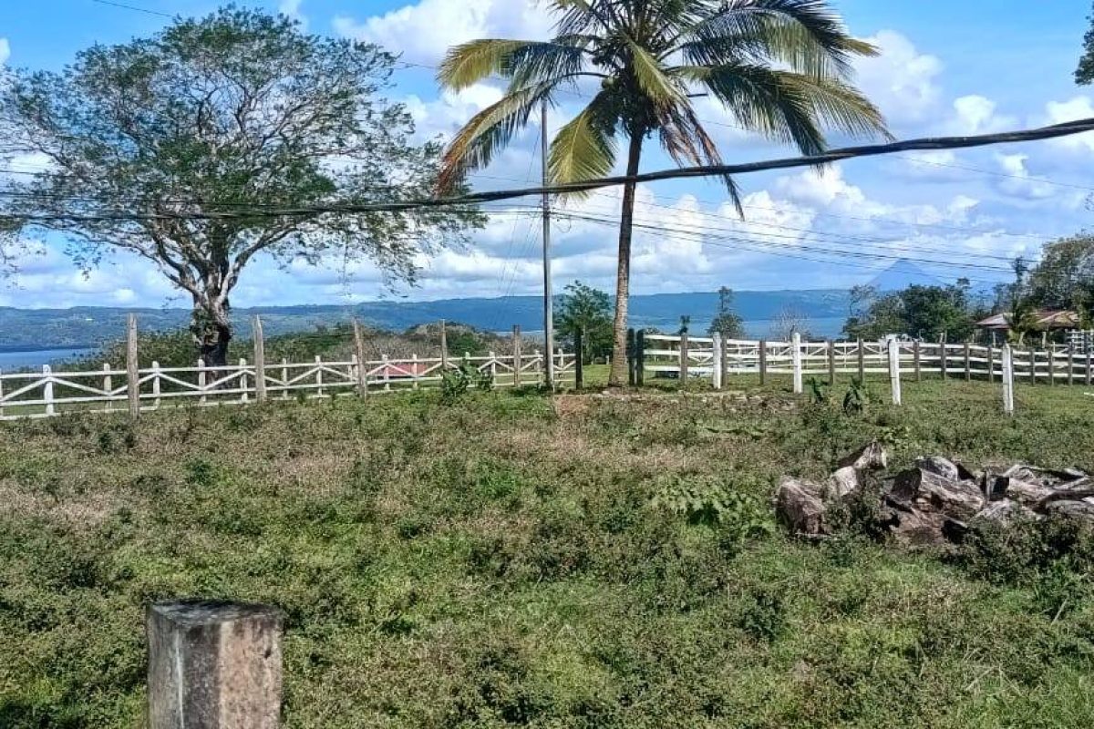 Imagen de WhatsApp 2025-03-05 a las 11.36.52_36f77453