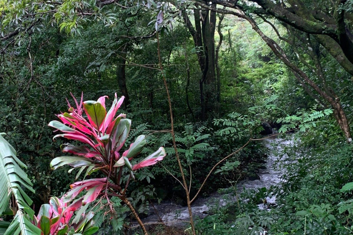 Imagen de WhatsApp 2025-04-04 a las 10.27.12_e27bef1b