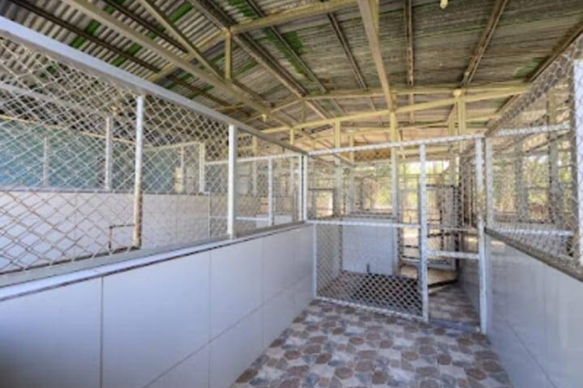 Imagen de WhatsApp 2025-04-04 a las 10.34.24_39c27e57