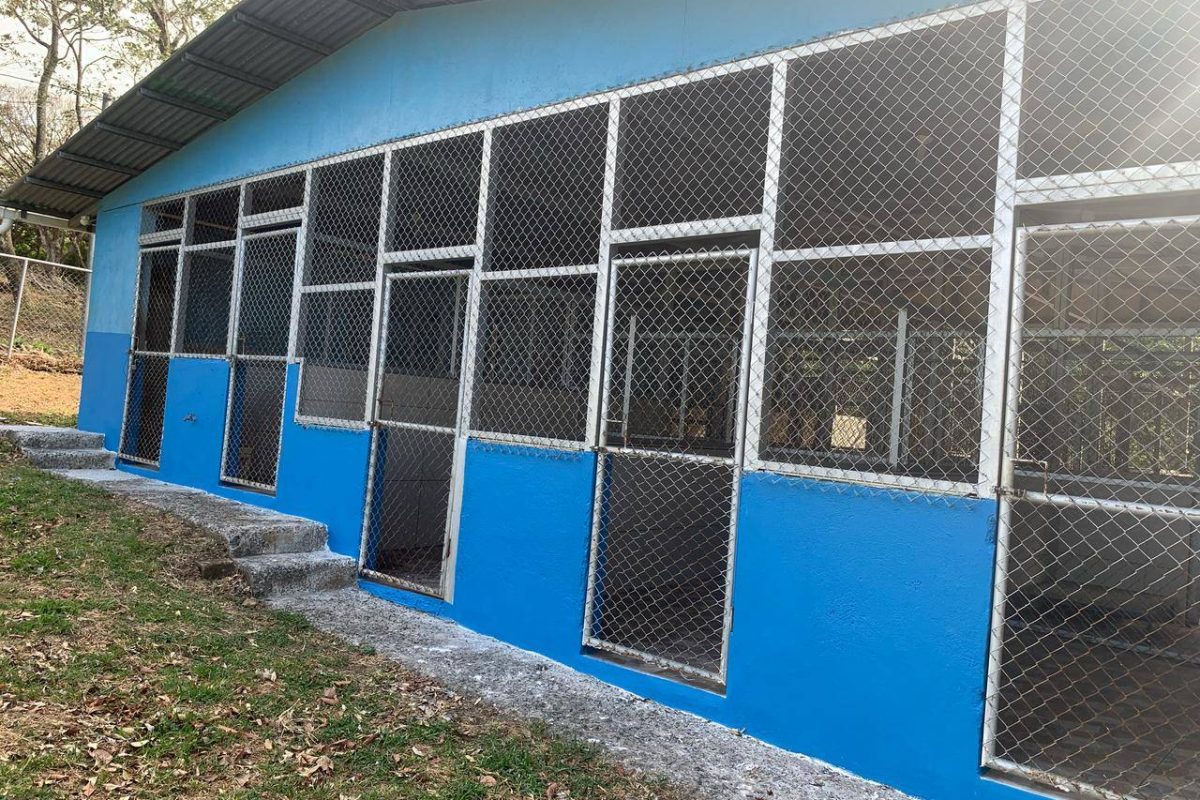 Imagen de WhatsApp 2025-04-04 a las 10.34.26_a832d609