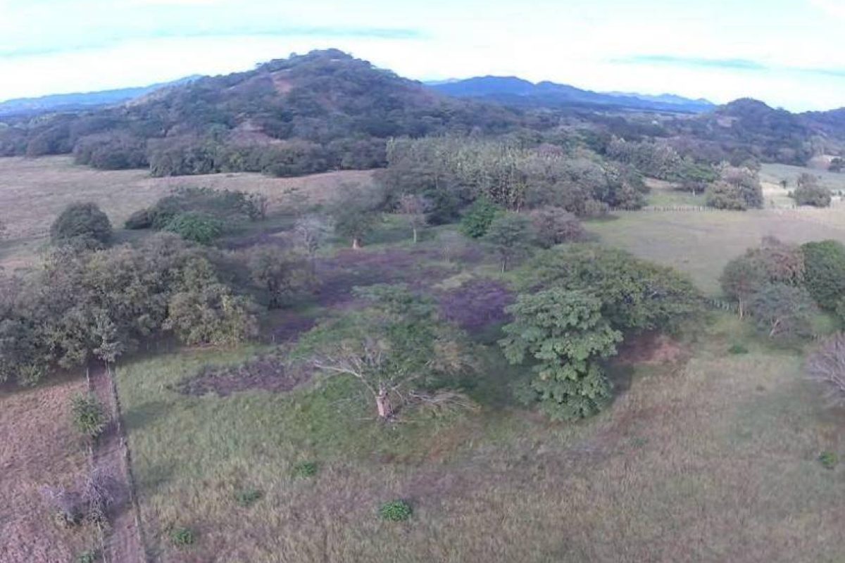 Imagen de WhatsApp 2025-04-24 a las 15.31.41_4728e366 - copia