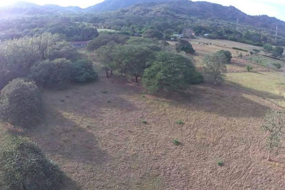 Imagen de WhatsApp 2025-04-24 a las 15.31.41_497a9cb0 - copia