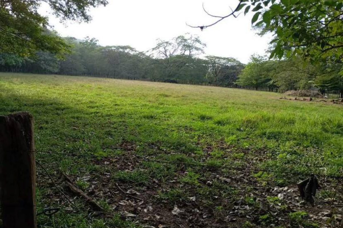 Imagen de WhatsApp 2025-04-24 a las 15.31.41_578488f9 - copia