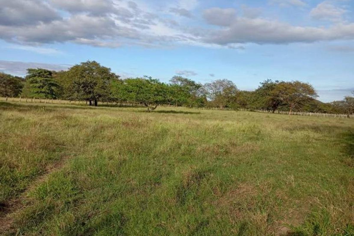 Imagen de WhatsApp 2025-04-24 a las 15.31.41_8851932f - copia