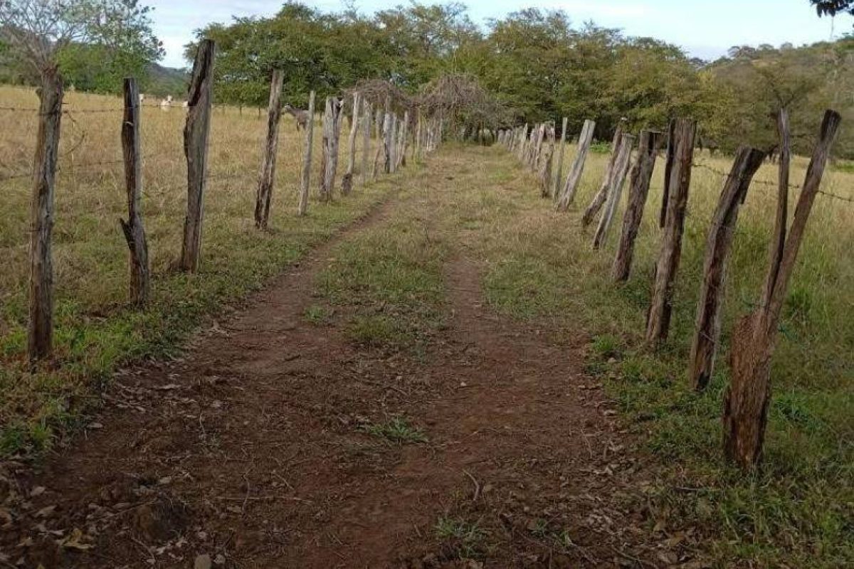 Imagen de WhatsApp 2025-04-24 a las 15.31.41_ba220fd5 - copia