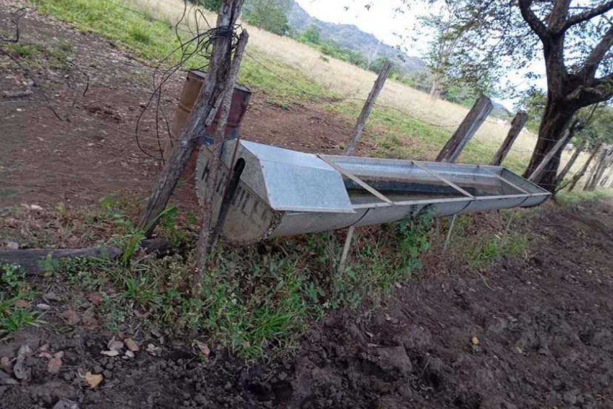 Imagen de WhatsApp 2025-04-24 a las 15.31.41_ee92faeb - copia