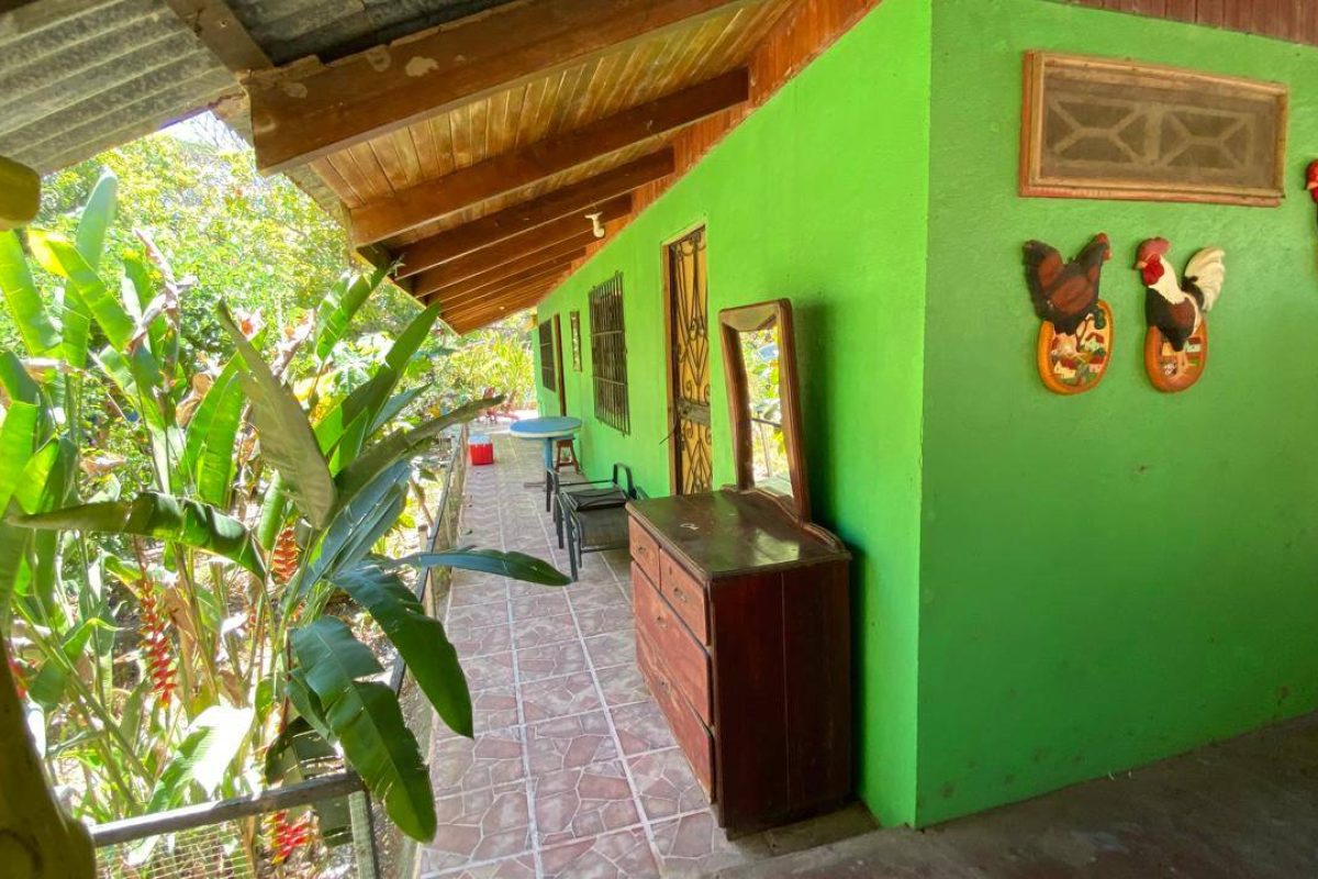 Imagen de WhatsApp 2025-04-24 a las 15.33.13_7e497e15 - copia