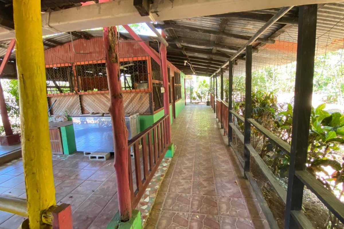 Imagen de WhatsApp 2025-04-24 a las 15.33.13_a44c0729 - copia