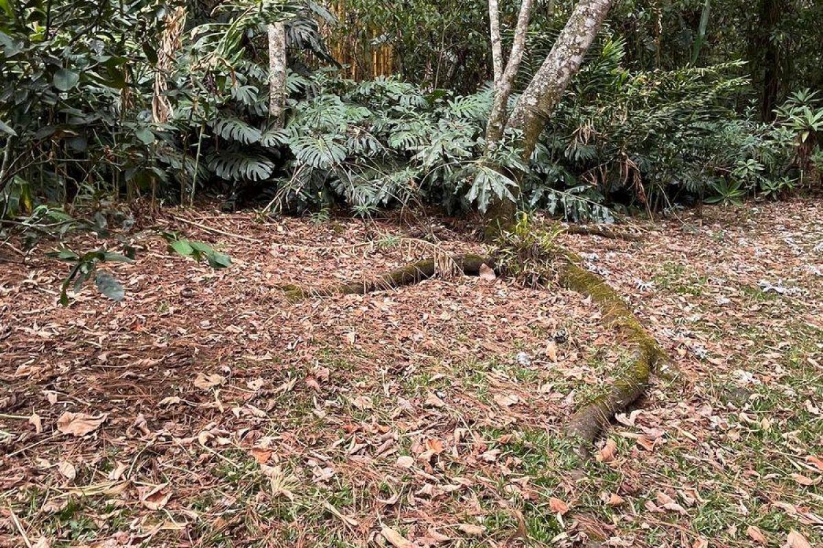 Imagen de WhatsApp 2025-04-26 a las 19.36.05_284c0b89