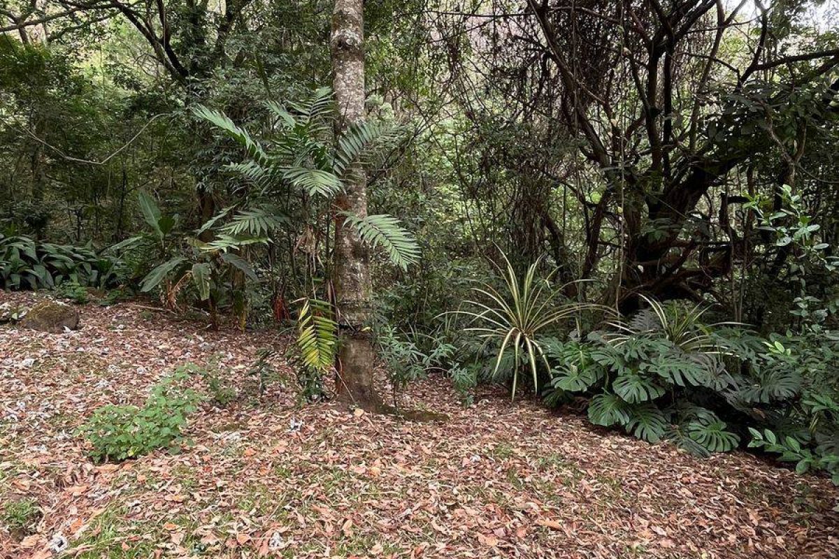 Imagen de WhatsApp 2025-04-26 a las 19.36.05_39de2293