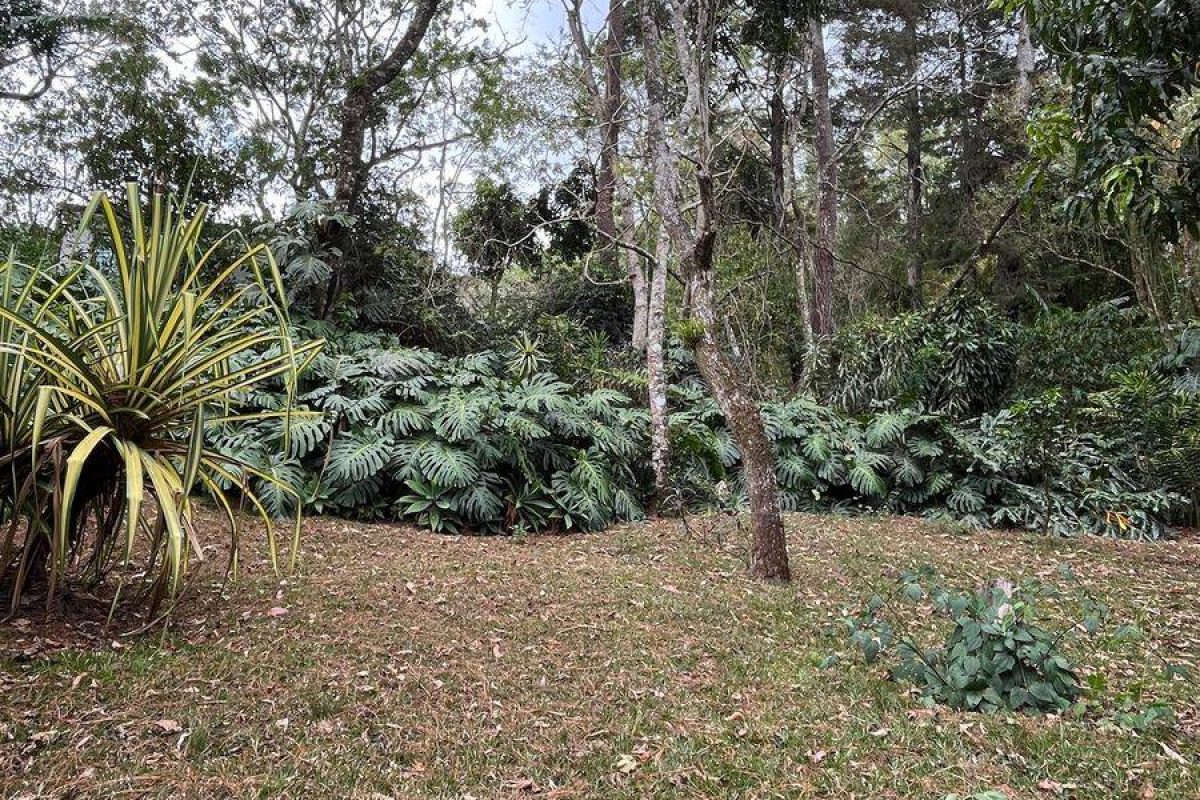 Imagen de WhatsApp 2025-04-26 a las 19.36.06_1ecf1f13