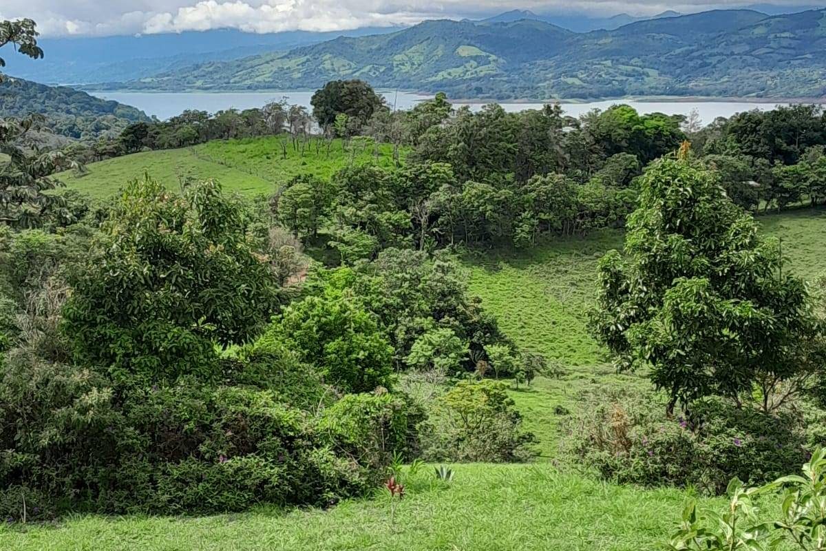 Imagen de WhatsApp 2025-06-07 a las 18.11.15_3772aab6