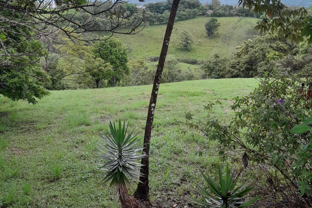 Imagen de WhatsApp 2025-06-07 a las 18.11.16_a6f4d3f3