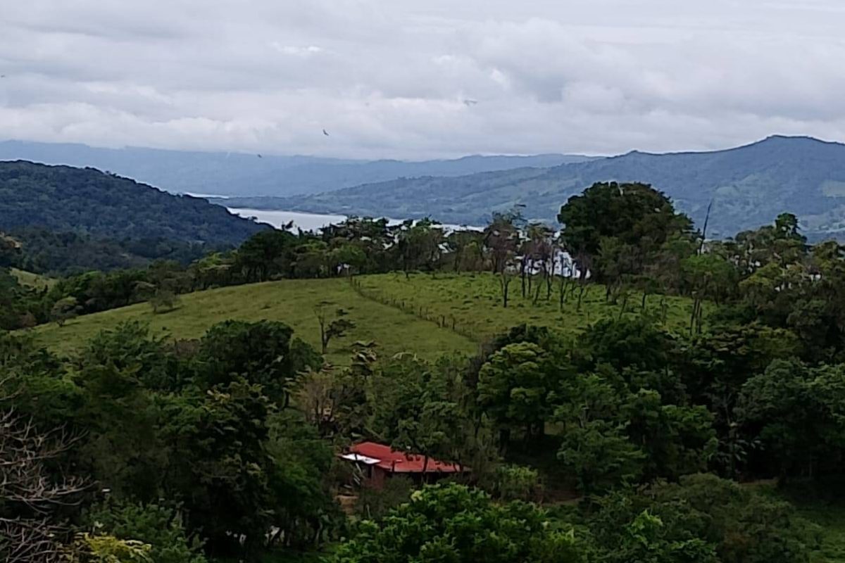 Imagen de WhatsApp 2025-06-07 a las 18.11.16_f736c4bd