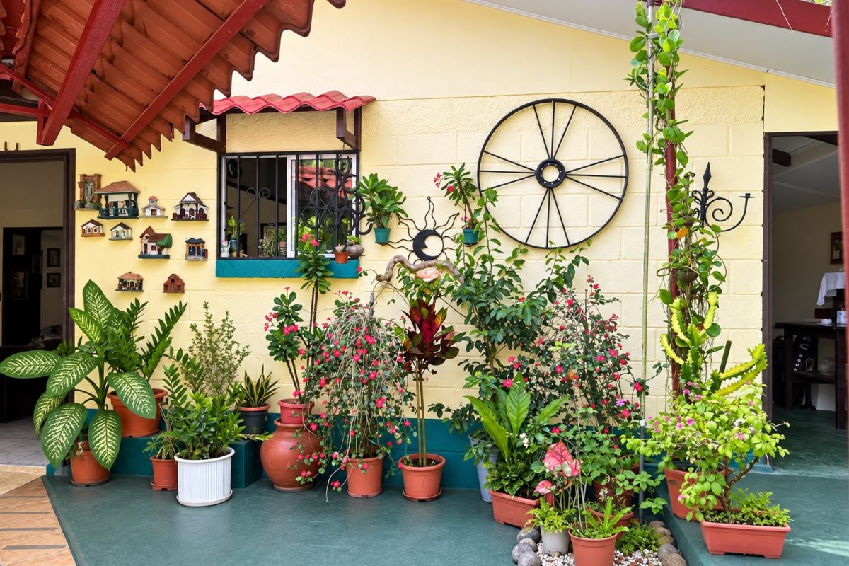 Jardineria-2